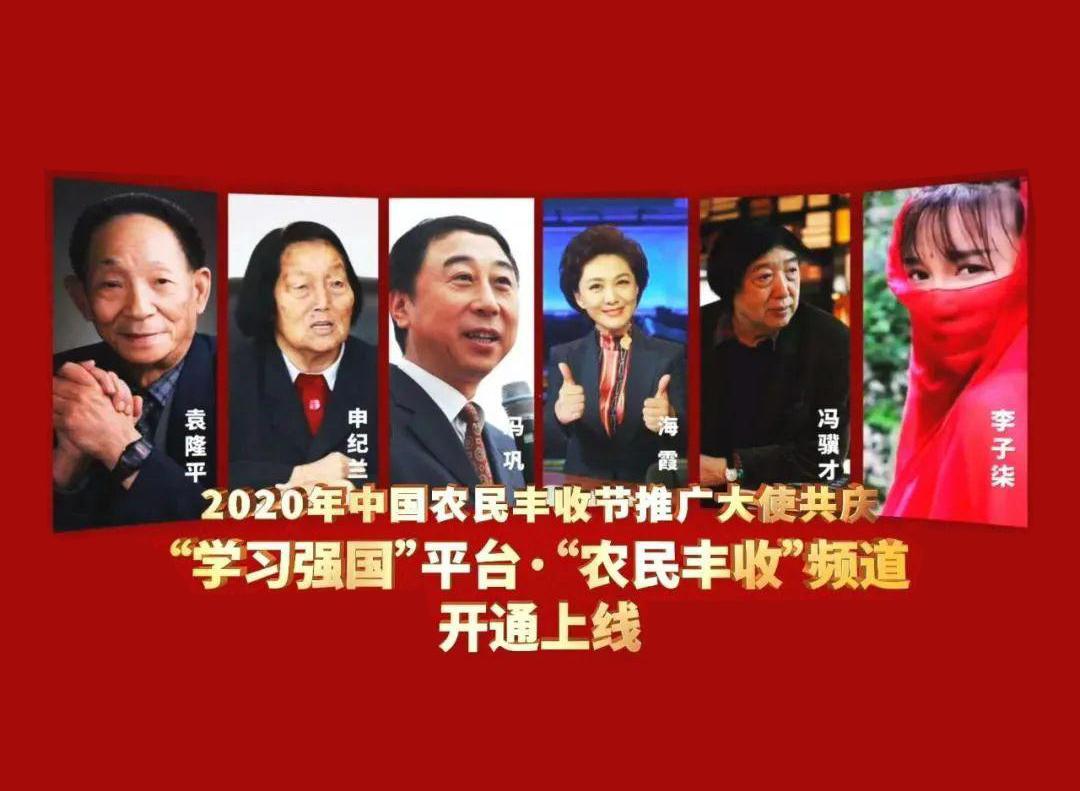 中国农民丰收节推广大使