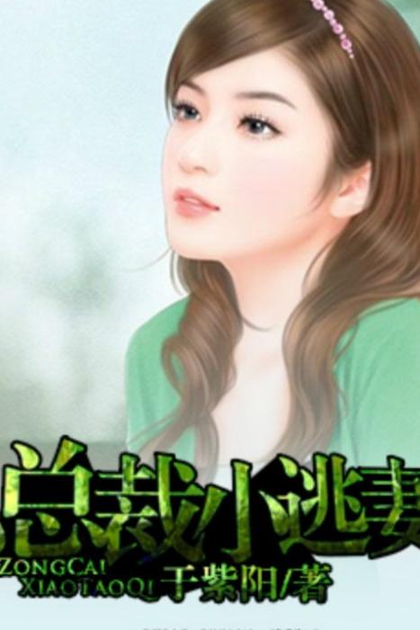 总裁小逃妻