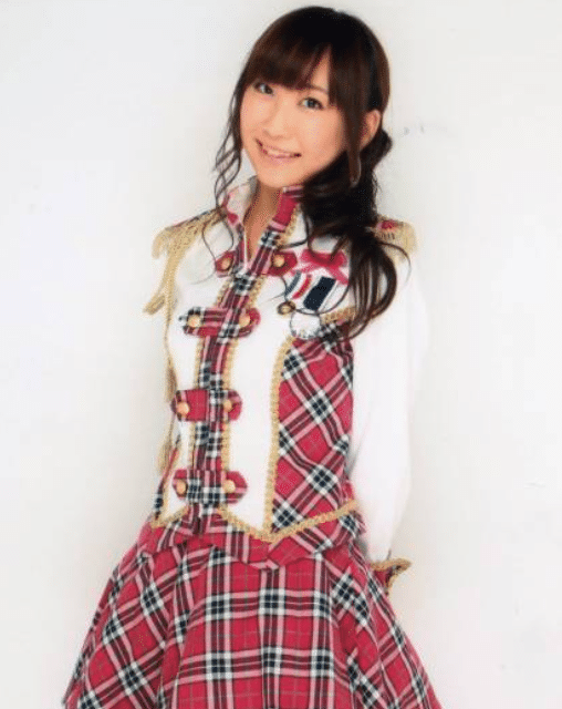 经历20084月28日,teama公演中,作为‘戸岛花’的代役从剧场出道8月5日,正