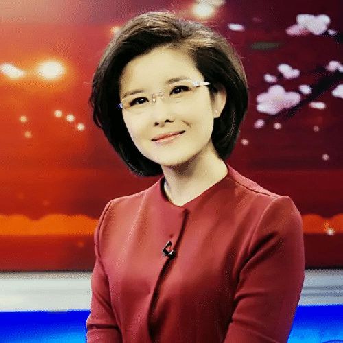 央视记者王宁个人资料图片