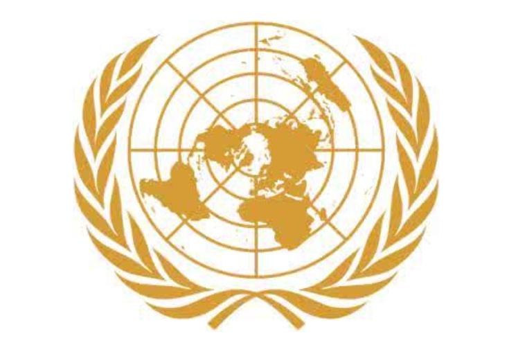 联合国宪章 夸克百科